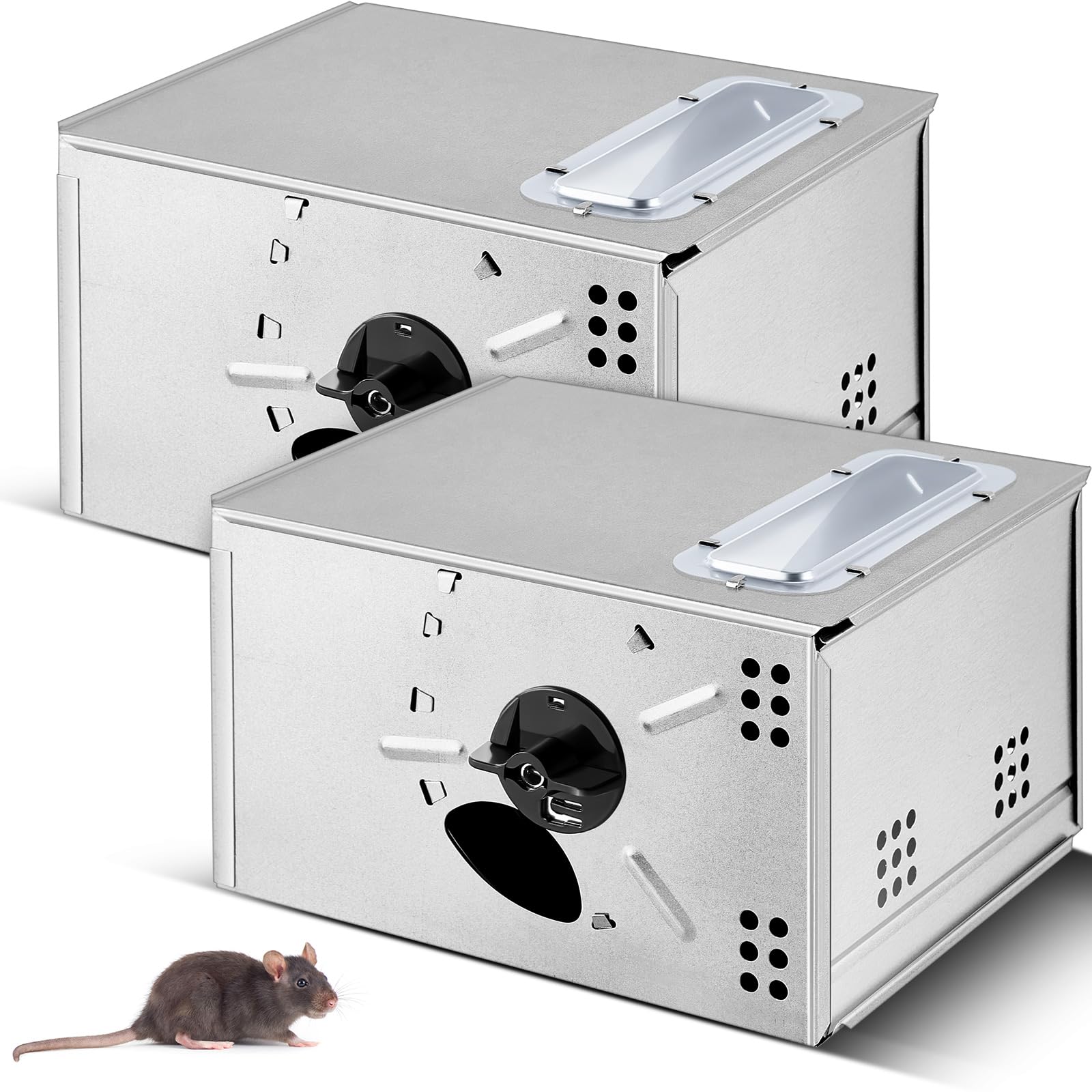 https://m.media-amazon.com/images/I/712EMJEyKYL.jpg