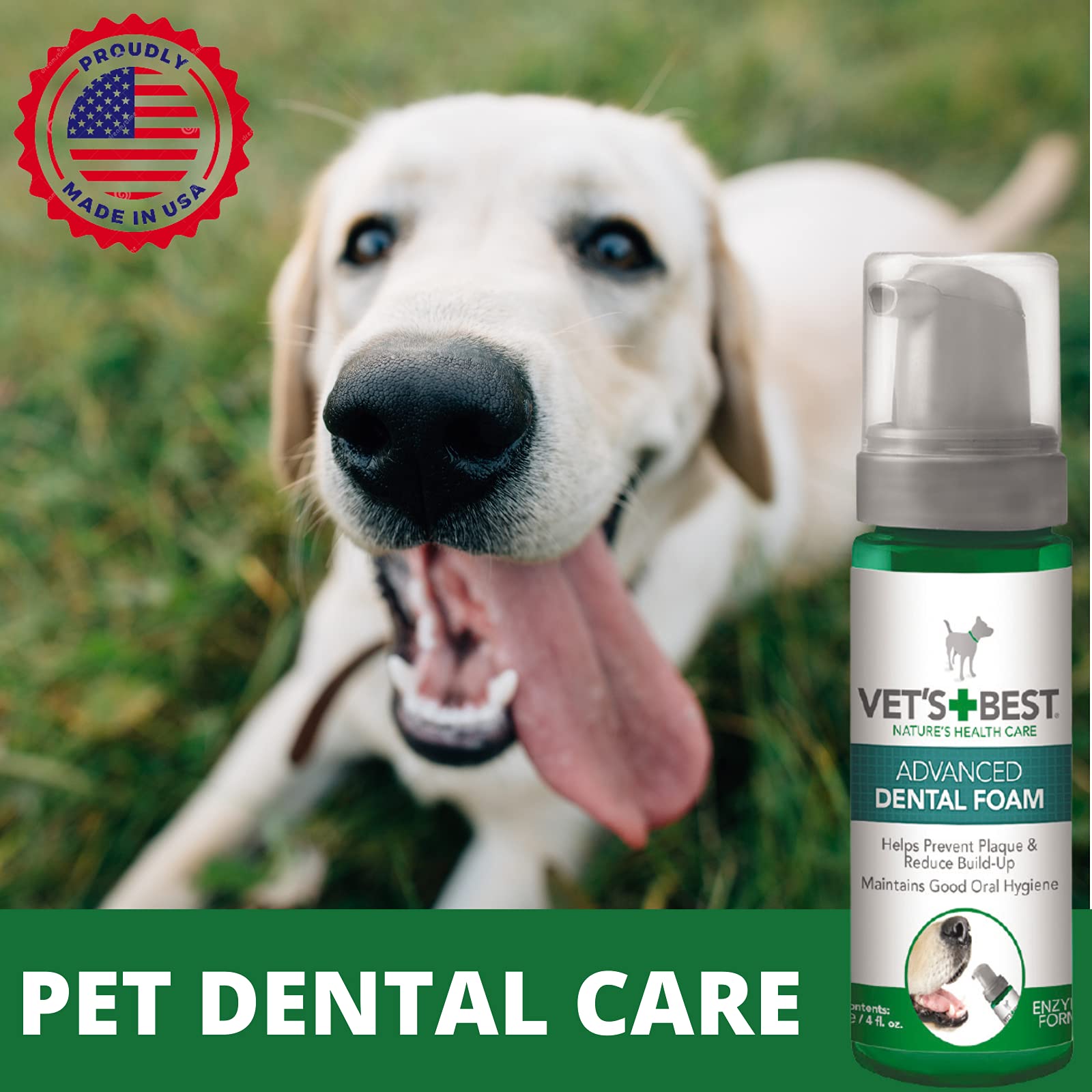 Vets Best Advanced Dental Foam for Dogs 150ml : Amazon.ae: Pet
