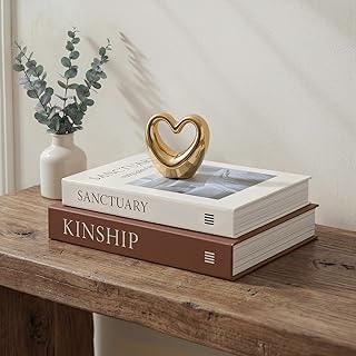 Decorative Book Boxes for Coffee Table Decor (Set of 2) - Faux Books with Hidden Storage - Modern Warm Luxury & Neutral Home Accents - Sanctuary & Kinship (Chocolate Brown & Beige)