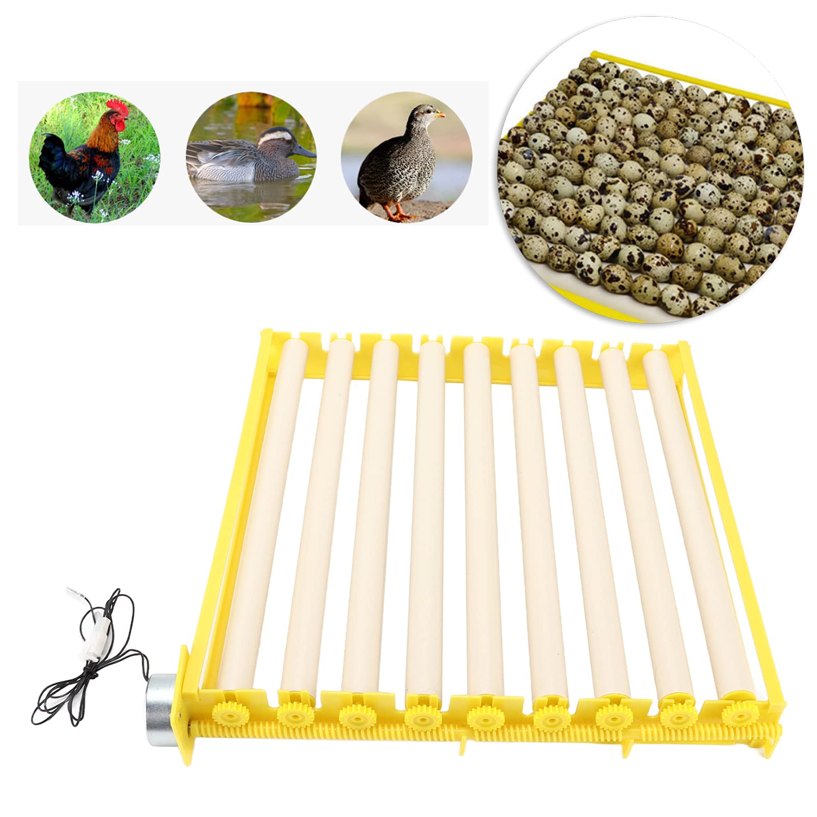 Bandeja Para Incubadora De Huevos Volteador Automático De Huevos De Gran Capacidad Para Incubar Pollos Huevo Pájaro Pato Codorniz[220 V] Bolsas para llevar comida y sándwiches