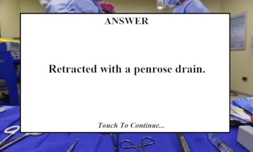 Surgeon Flashcards