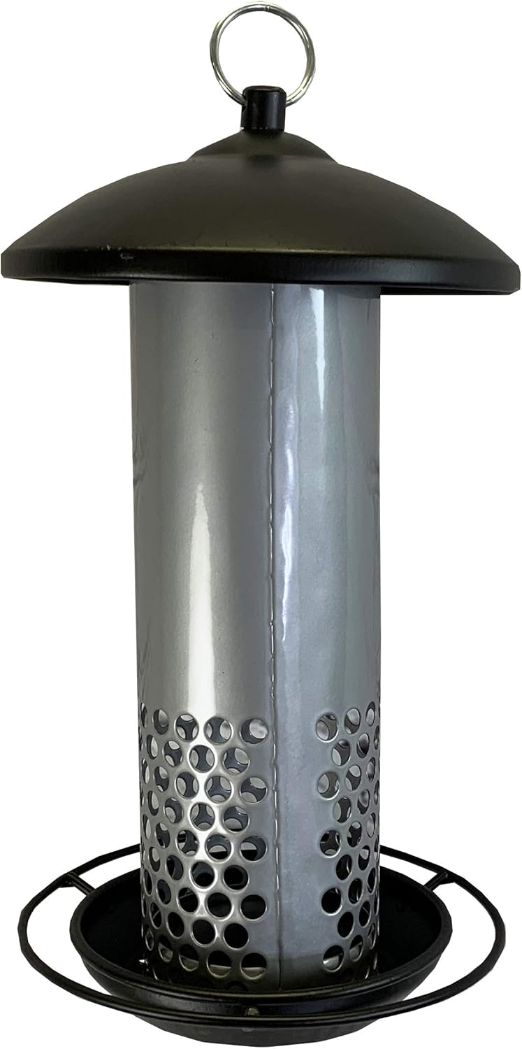 Heavy Duty Squirrel Resistant Hanging Wild Bird Mealworm Feeder Amazon.co.uk Garden