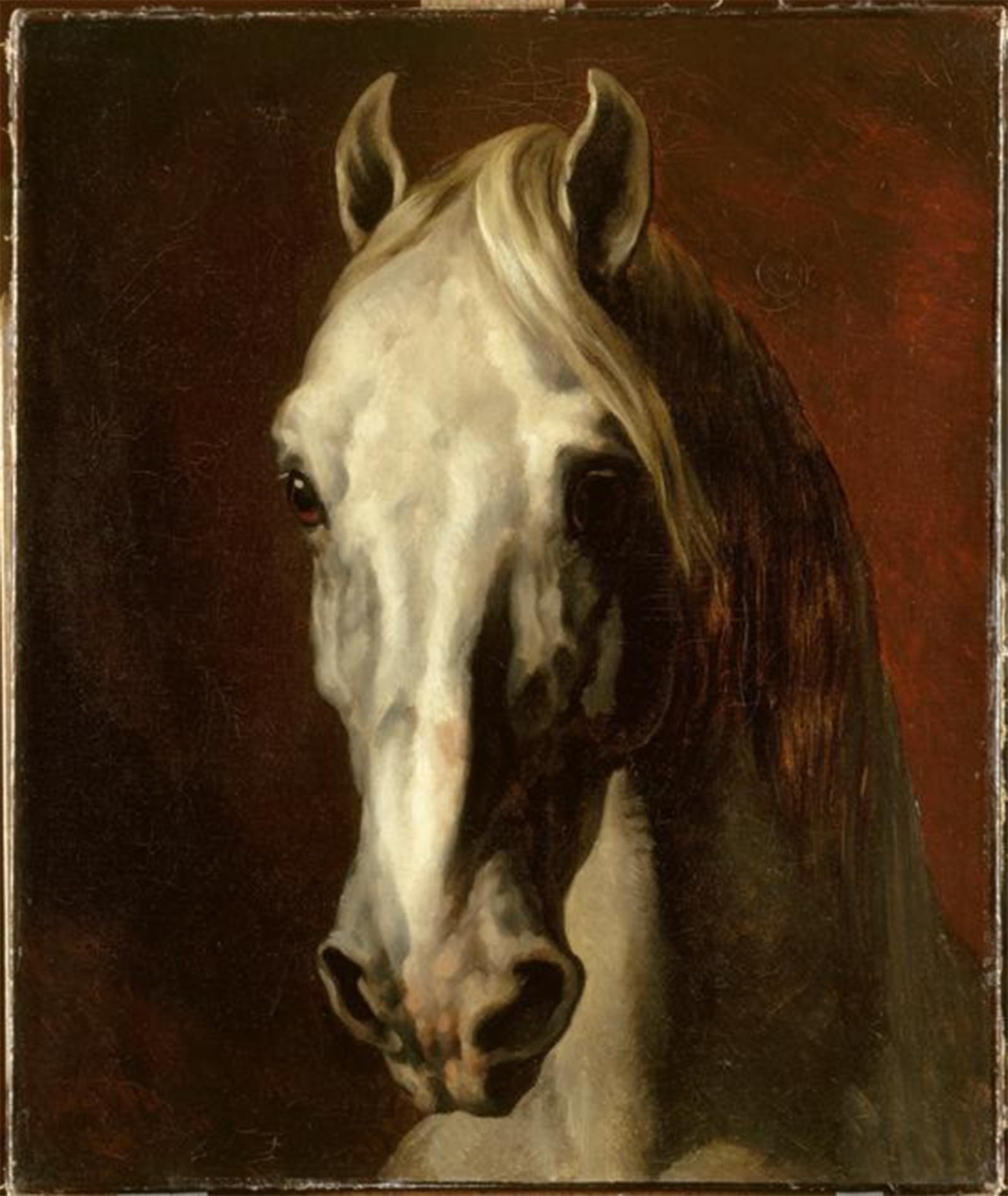 ARTXLXXBN Famous Prints Artwork Pictures Poster Painting Art the Head of a White Horse by Theodore Gericault Artwork Landscape Pictures for Home Decor 60x90cm