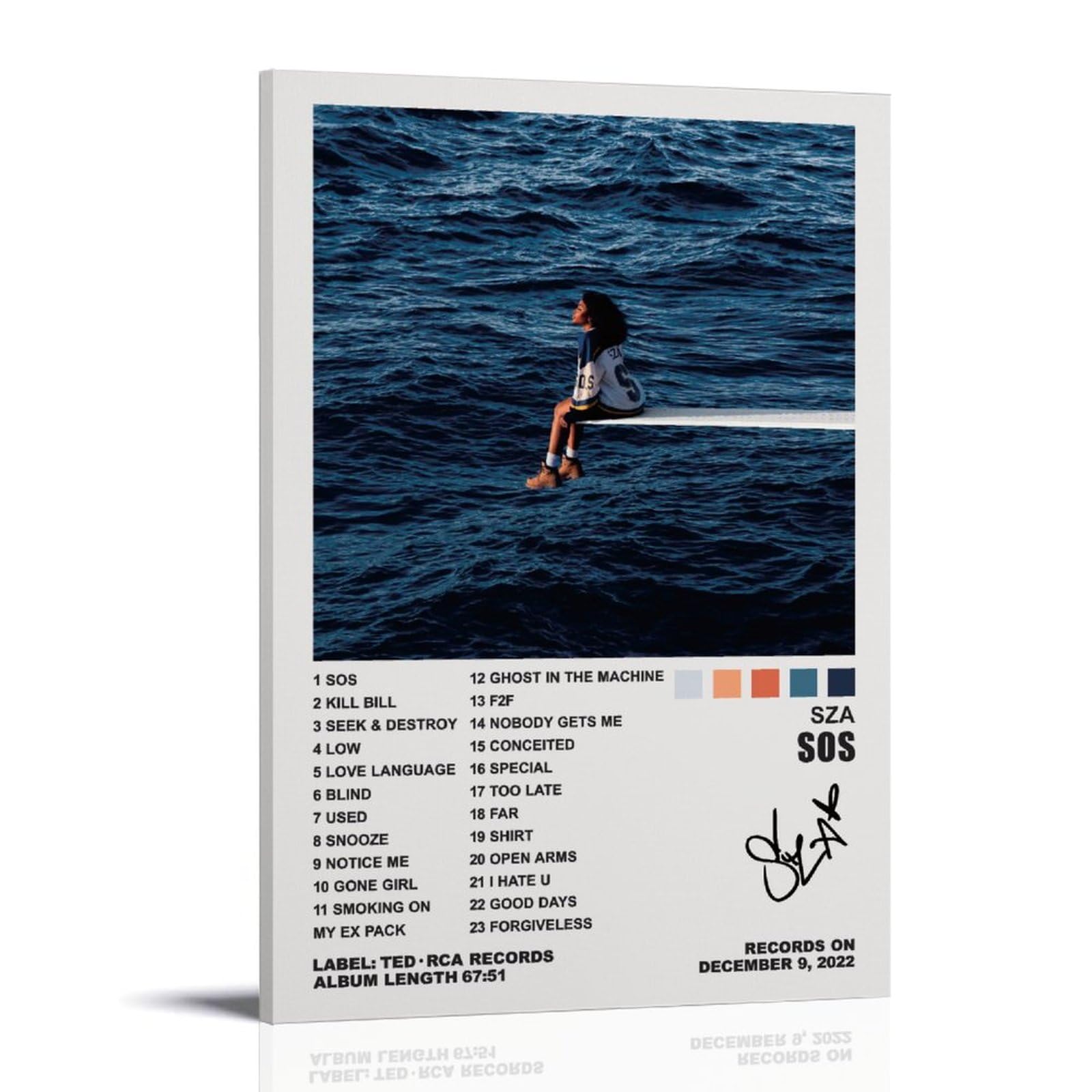 YELLOWV Sza Poster Sos Album Cover Posters for Room Aesthetic Canvas Wall Art Bedroom Decor 12x18inch(30x45cm)