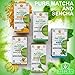 Hyleys Matcha Tea Bags with Mint - 25 Tea Bags (Japanese Pure Matcha Wellness Green Tea)