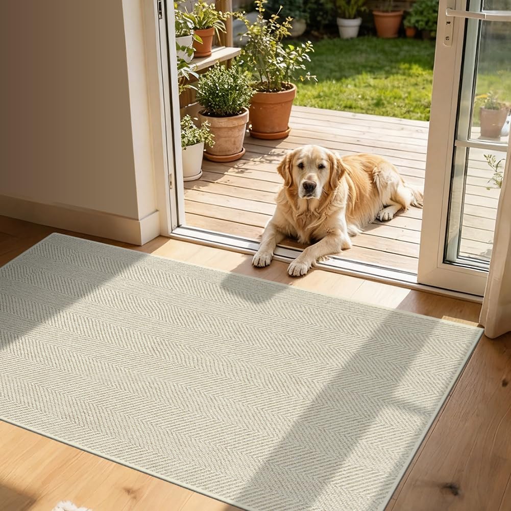 Tapis intérieur entrée absorbant lavable AOOWU fin et durable
