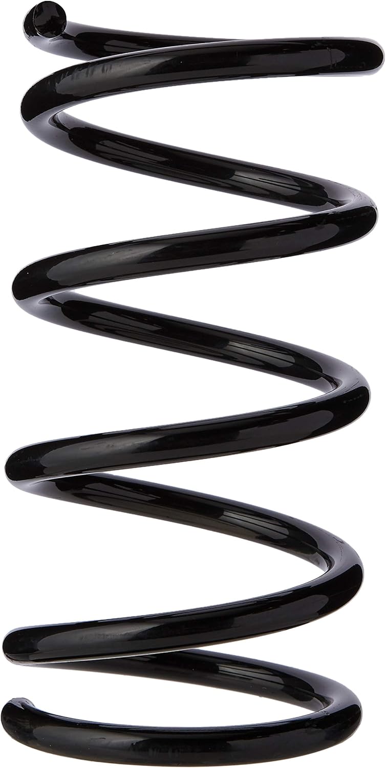 SP245 FAI REAR ROAD SPRING OE QUALITY