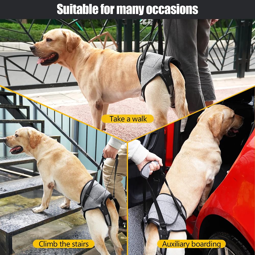 Arnés De Apoyo para Patas Traseras,Arnes de Transporte para Perros, Arnés de Elevación para Perros,Transpirables Acolchadas Ajustables,Impermeable,para Mascotas Y Rehabilitación Correas(XL,Gris)