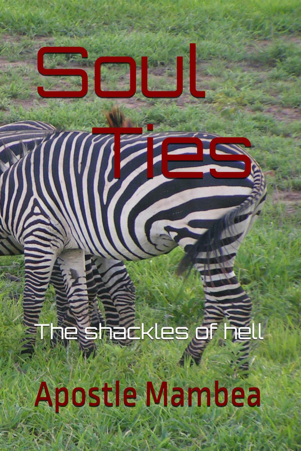 Soul Ties: The shackles of hell (Relationships)