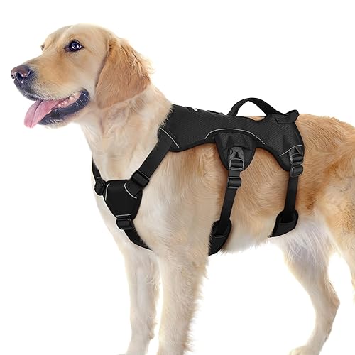 rabbitgoo Escape Proof Dog Harness, Soft Padded Full Body Pet