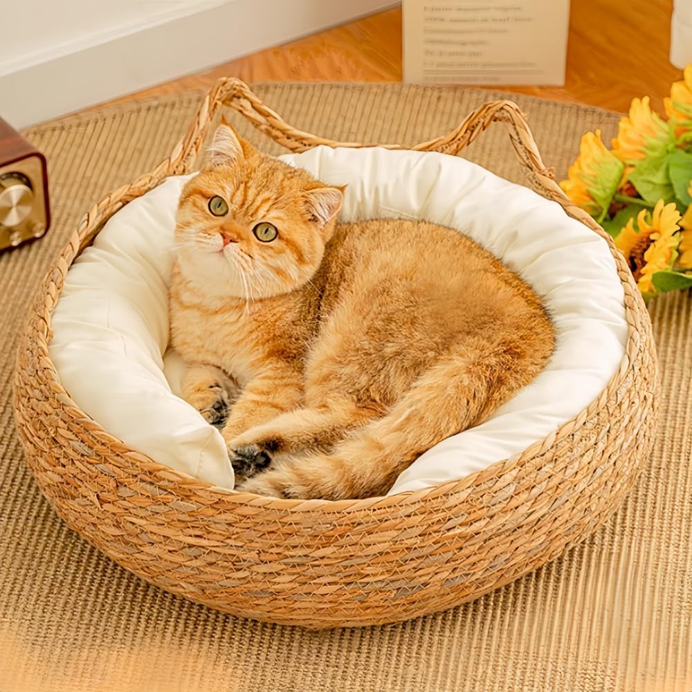 سرير قطط شبه مغلق من الراتان، سرير قطط داخلي قابل للغسل، سرير دائري للقطط مع لوح خدش للقطط، سرير كبير منسوج للقطط مع وسادة ناعمة، سرير للقطط قابل للازالة للحيوانات الاليفة