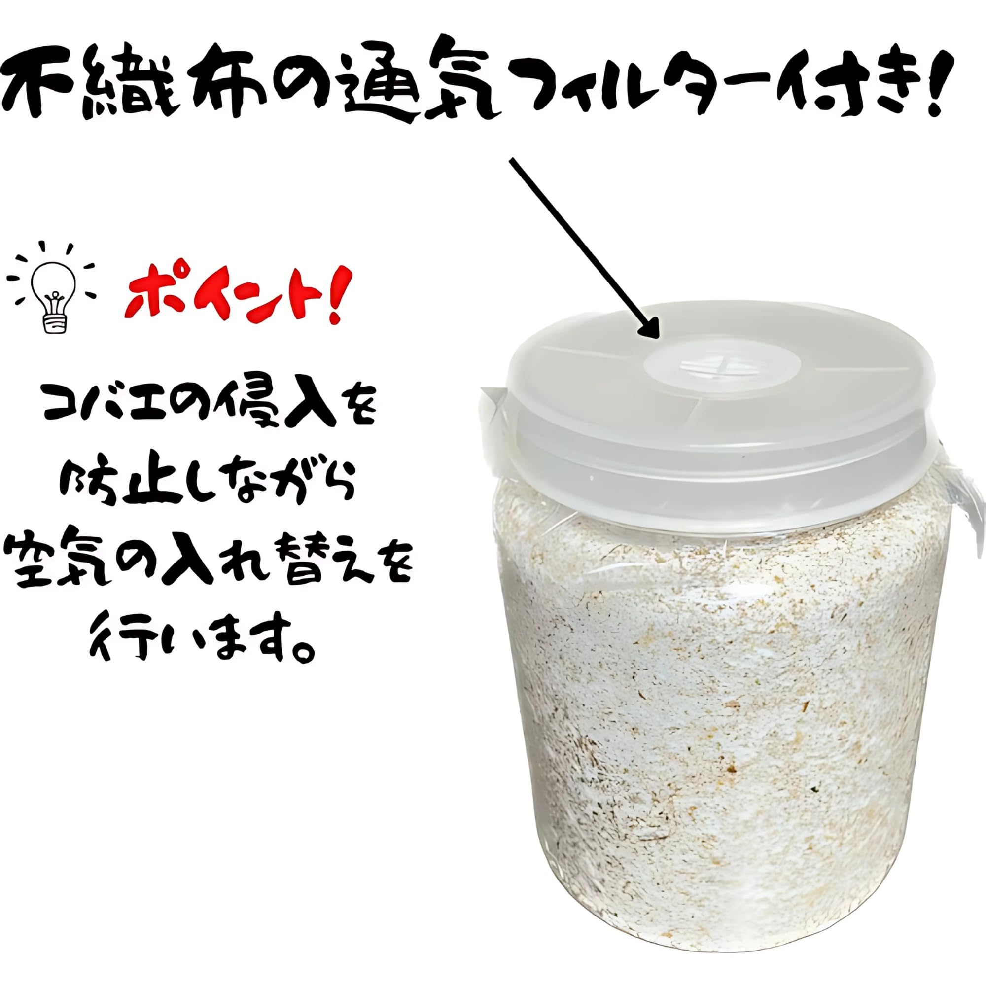 Amazon.co.jp: ブリーダーズ・ファーム 菌糸ビン 大夢Bプロ