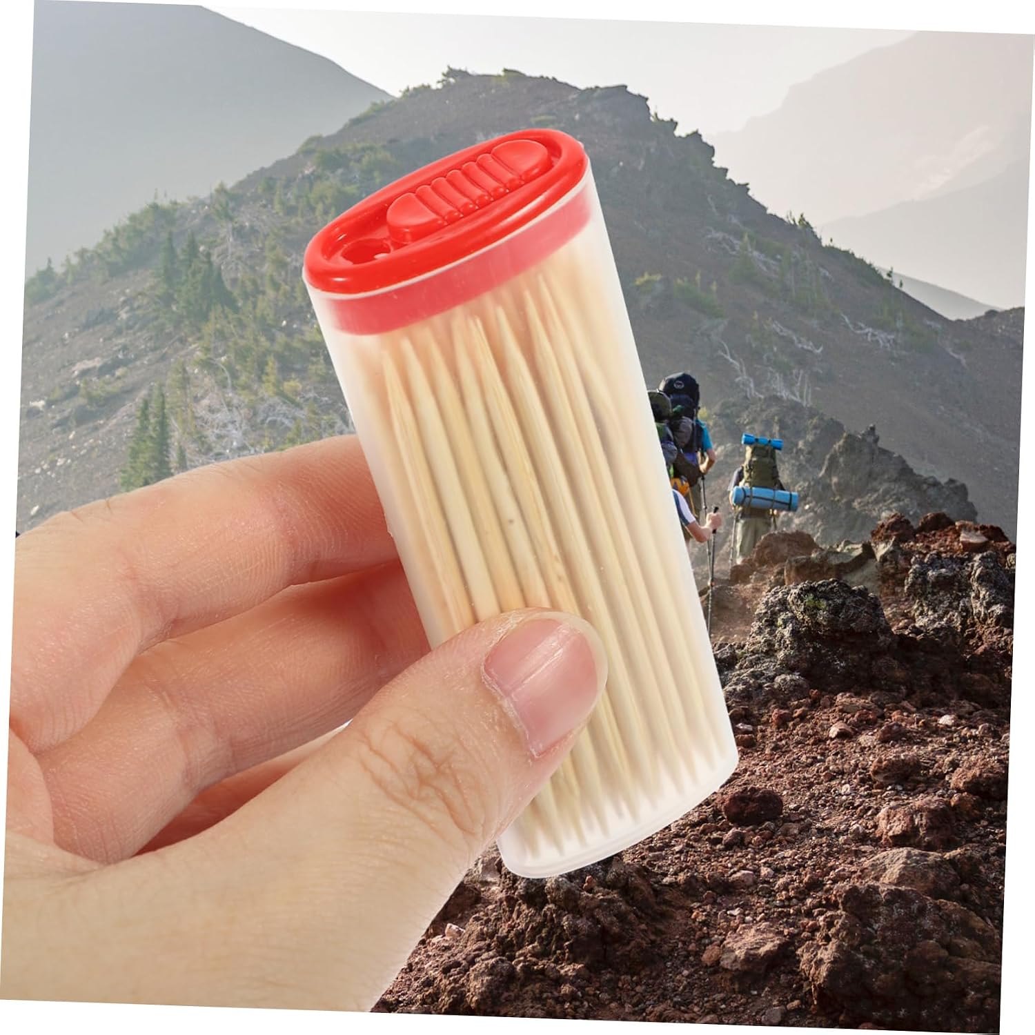24-Piece Portable Bamboo Toothpicks Set Double-End Point Appetizer Picks for Party Supplies Travel-Friendly Material for Snacks and Drinks
