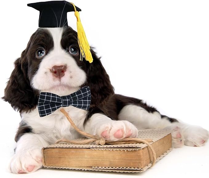 Gorro de Graduación para Perros con Corbata de Moño y Borla Amarilla miniatura 2