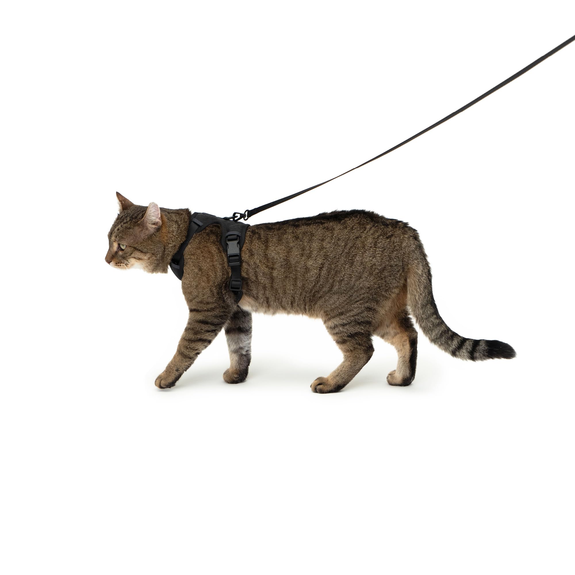Harnais anti-fugue chat LucyBalu empêche votre animal de s'enfuir