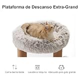 Ver la foto 3