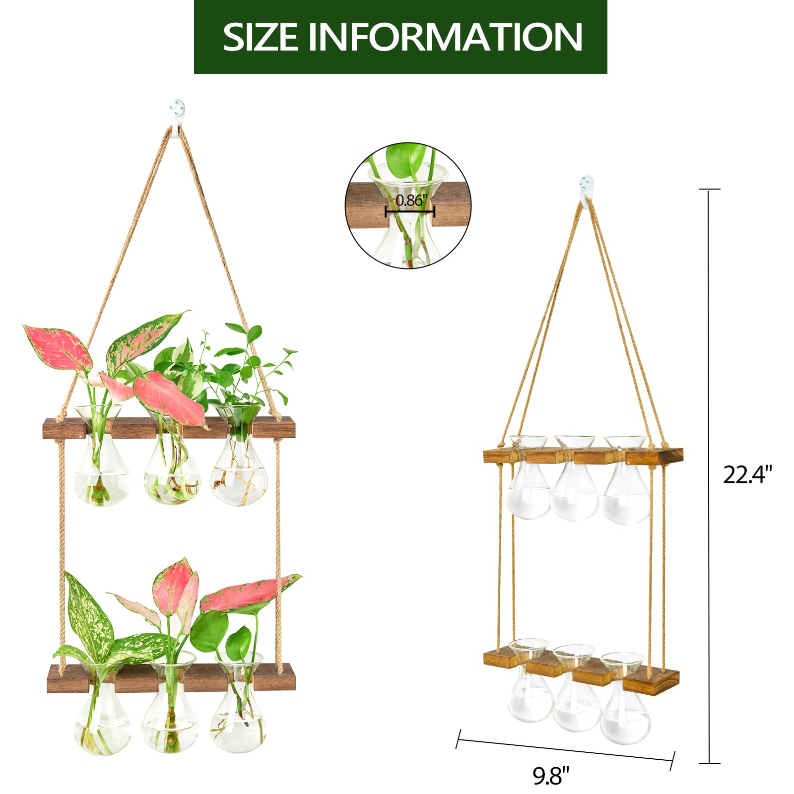 XXXFLOWER Wandbehang Anzuchtstation Mit Holzständer – 3 Glasvasen, 2 Ebenen, Für Pflanzen & Deko