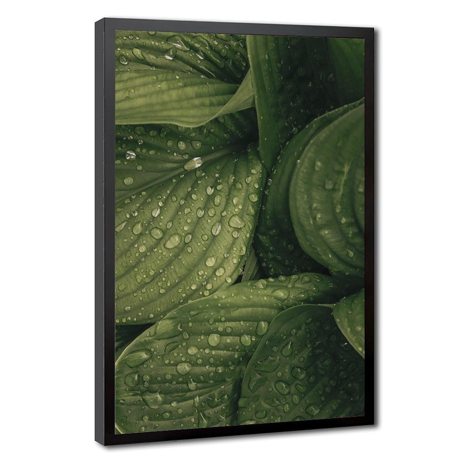 Bareronor Raindrops Botanical Canvas Poster Bedroom Decor Landscape Office Room Decor Gift 24" L X 36" W