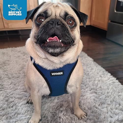 Miniatura 6 de Best Pet Supplies - Arnés Voyager Step-in Air hecho de malla apta para todos los climas arnés tipo chaleco para colocar por las patas para perros