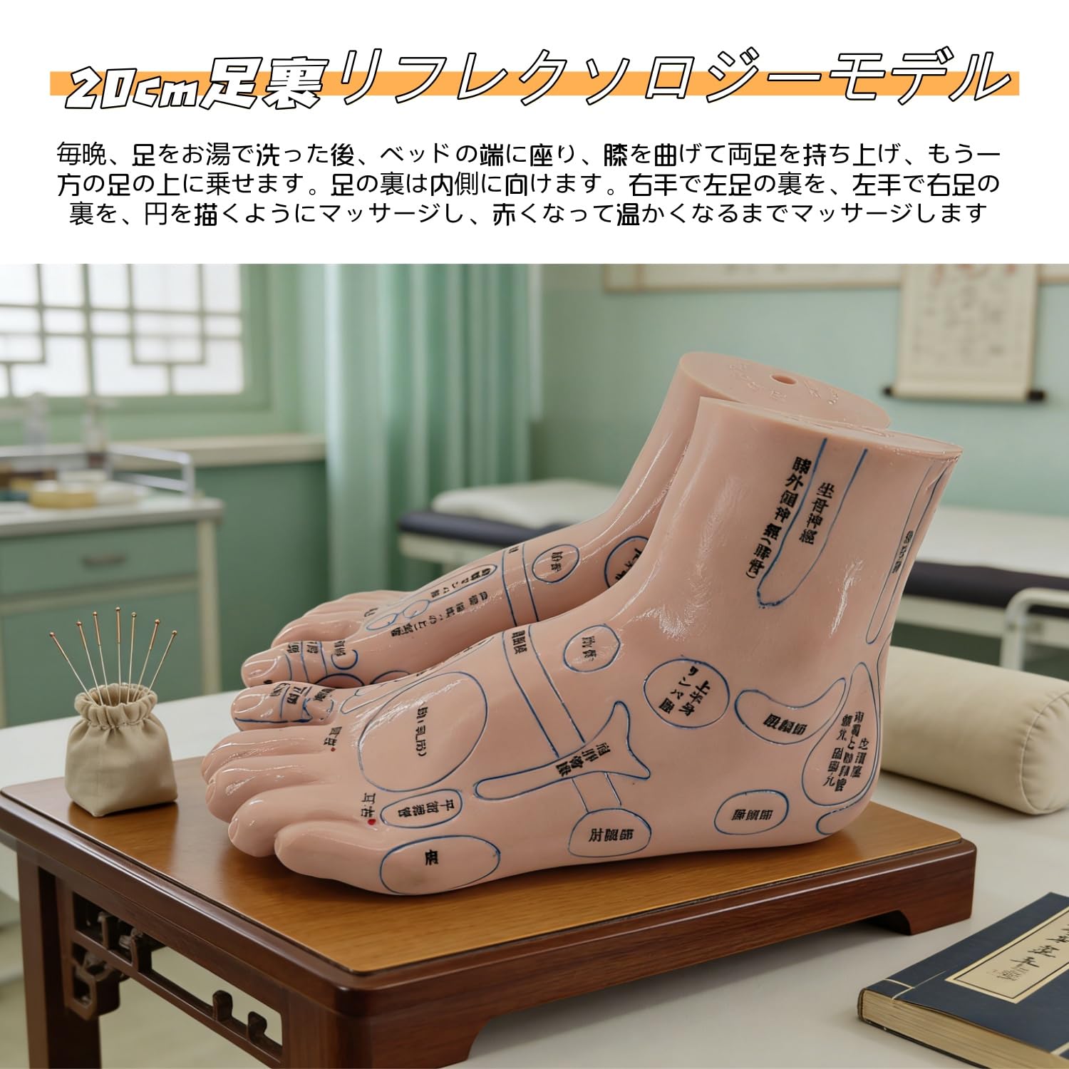 Amazon.co.jp: UKYCEORA 足ツボ モデル（日本語表記） 反射区 模型