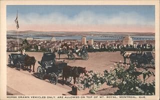 Horse Drawn Vehicles Mt. Royal, Montreal, QC Montreal, Quebec Canada Original Postcard
