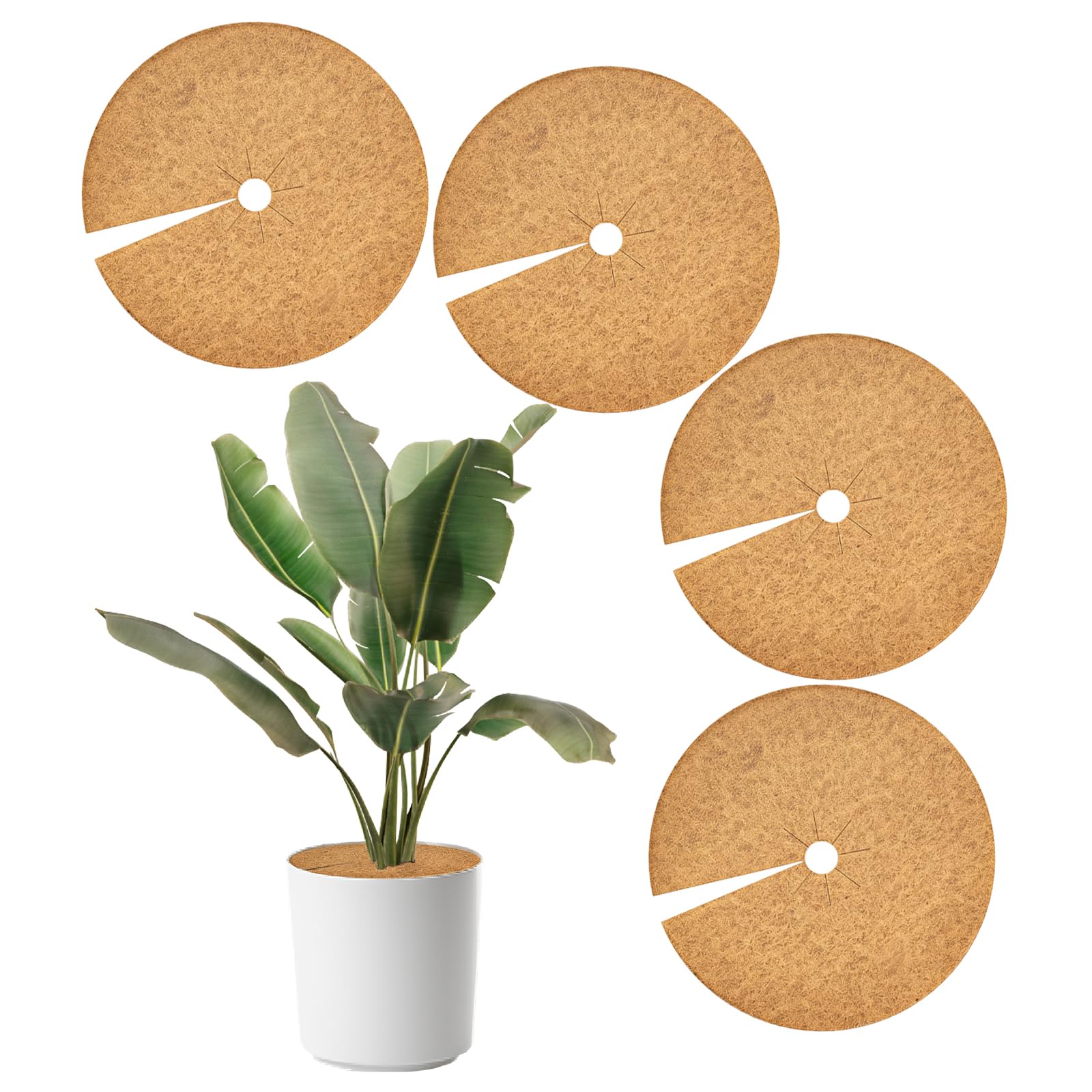 Bamworld 4pcs Coconut Fiber Mulch Rings, 30 cm Natural Coco Coir Tree Protector Mats, Plant Pot Soil Cover for Indoor Outdoor Plants and Landscaping, Brown