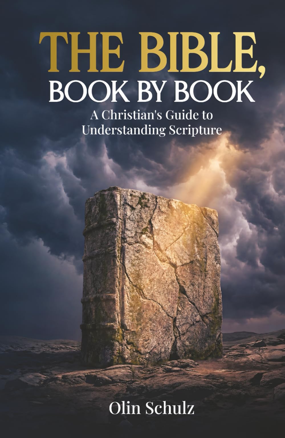 The Bible, Book by Book: A Christian’s Guide to Understanding Scripture