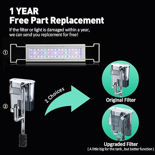 Miniatura 7 de Kit de iniciación de acuario de vidrio sin montura (3 galones), juego de peceras de vidrio ultra transparente de hierro bajo, tanque de peces beta