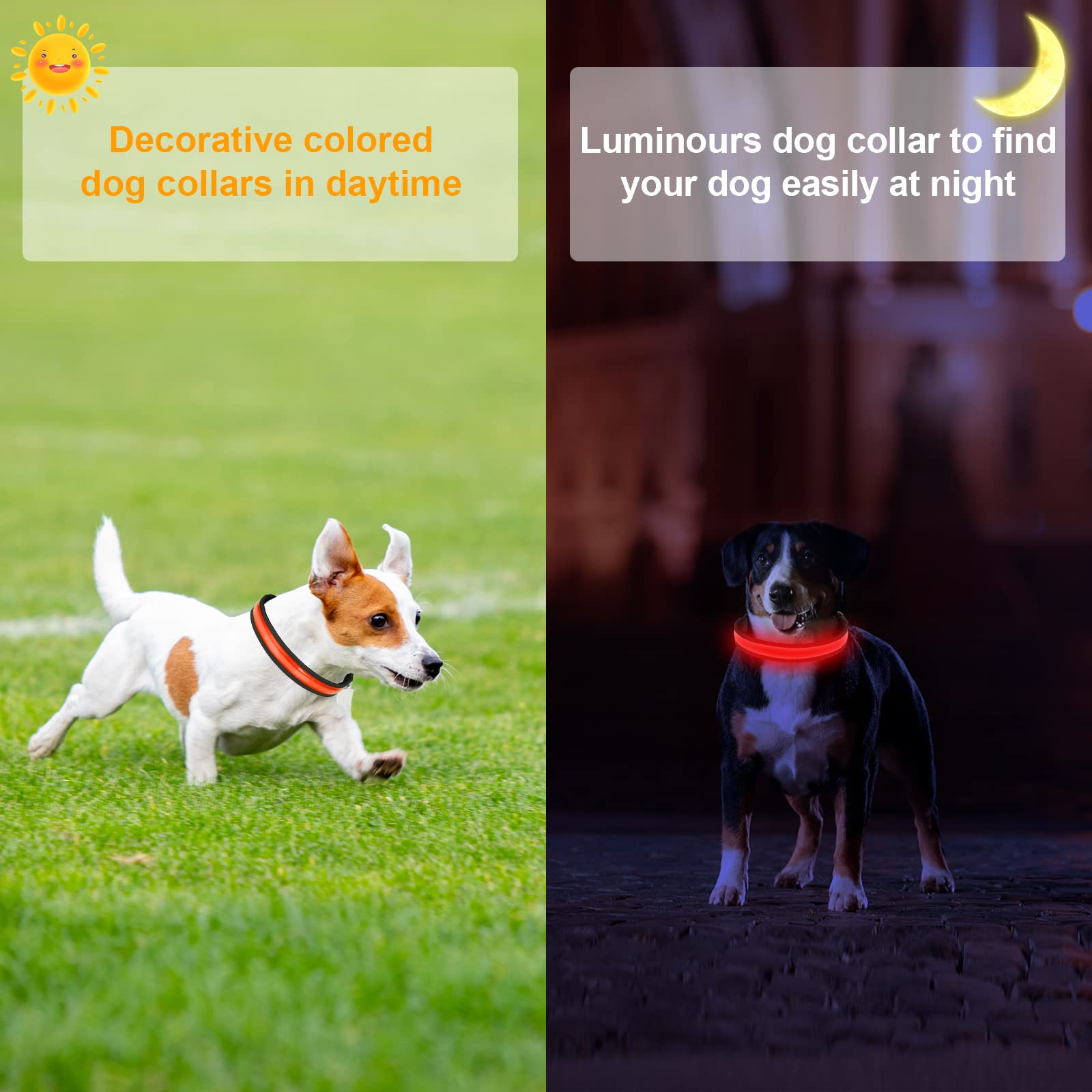 Collier Lumineux Chien Rechargeable par USB Collier LED Réglable avec 3 Modes D'éclairage pour Les Petits Chiens Moyens et Grands Qui Marchent la Nuit en Toute Sécurité - Rouge Clair - M