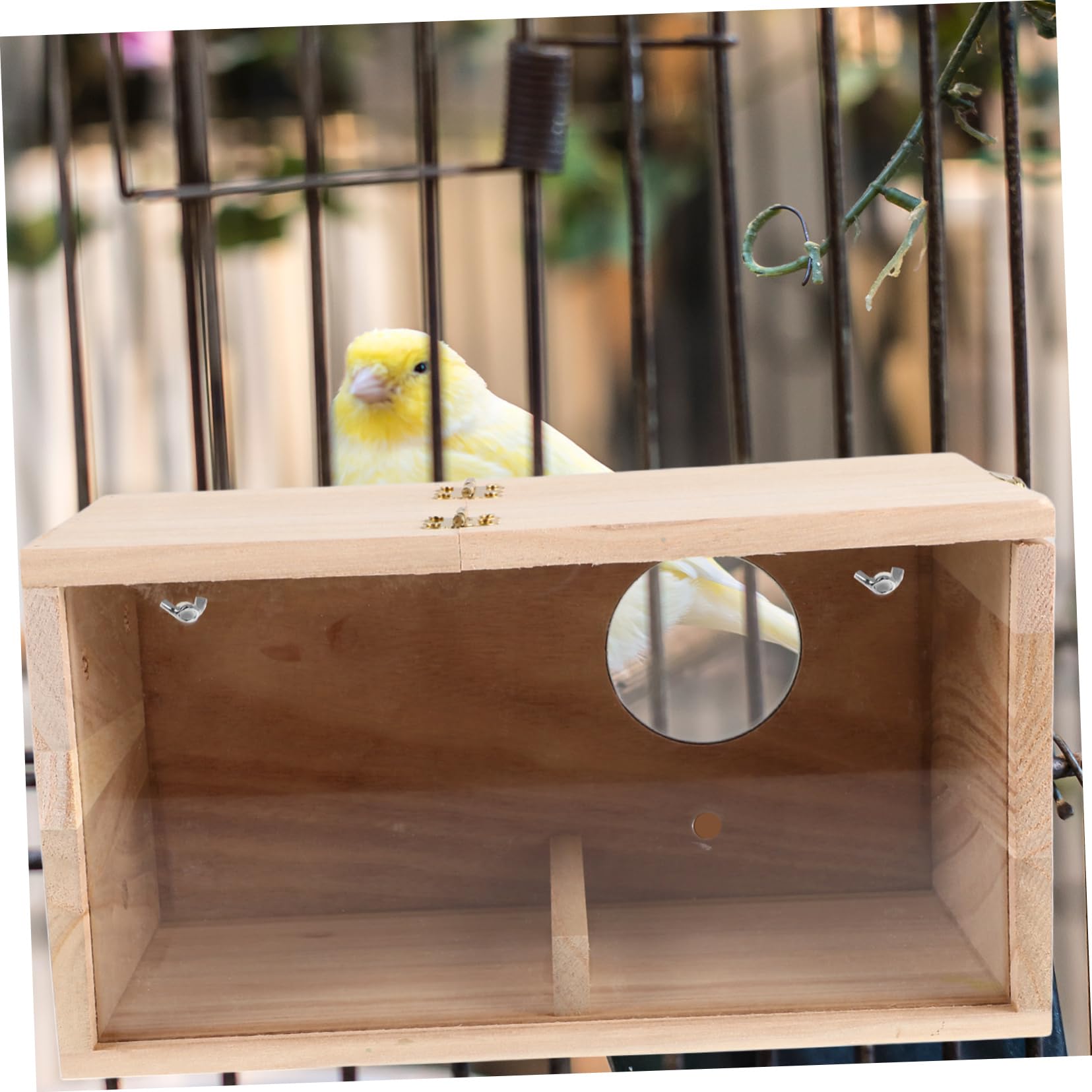 Hemobllo Birdhouse Nido per Parrocchetti in Legno Finestra Acrilica | Beige, Uso Outdoor e Giardino, per Cocorite e Calopsitte, Installazione Semplice