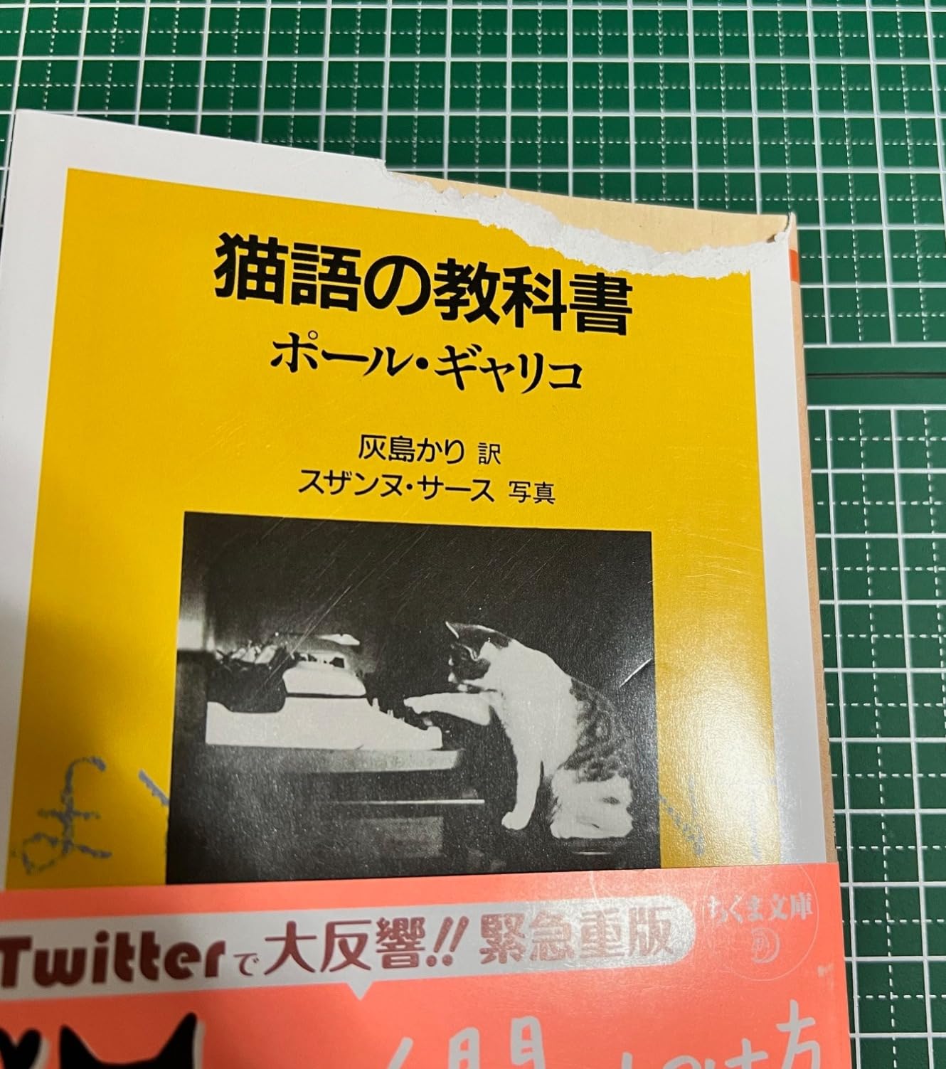 お客様イメージ