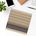 Aozora 100 Stylos à bille rétractables, encre noire, point moyen 1.0 mm, Pas de saignement, écriture lisse, stylos à cliquer, boîte de stylos