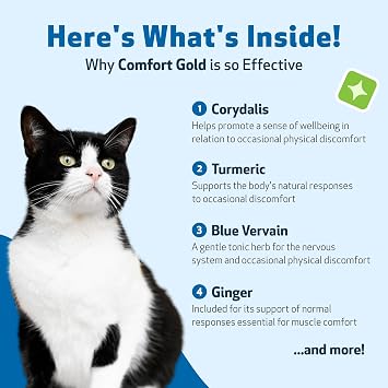 Pet Wellbeing Comfort Gold for Cats - Physical Comfort & Circulation, 2 oz | NASC Certified & Vet-Formulated Liquid Comfort Supplement with Corydalis & Turmeric for Comfort Support & Healthy Recovery