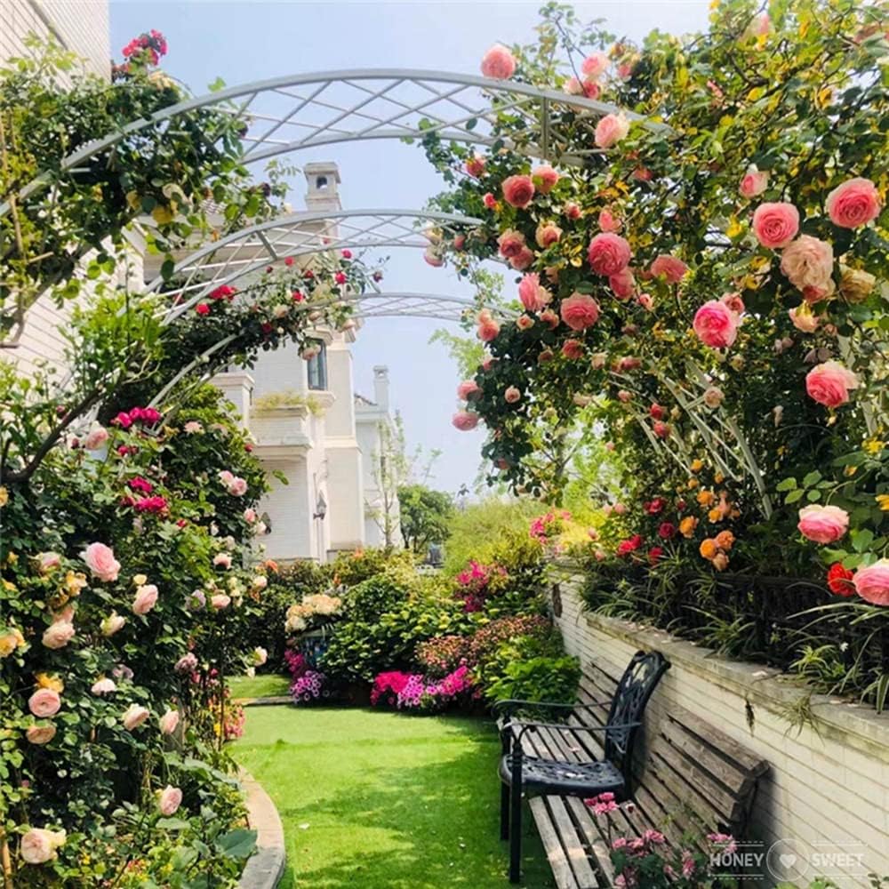 IBOWZ Metal Garden Arch Arbor Large Metal Garden Arch Arbor Arbour Archway, Wedding Garden Climbing Plants, Rose Arches Arbor Flower Stand, Outdoor Floral Decor, Black, White