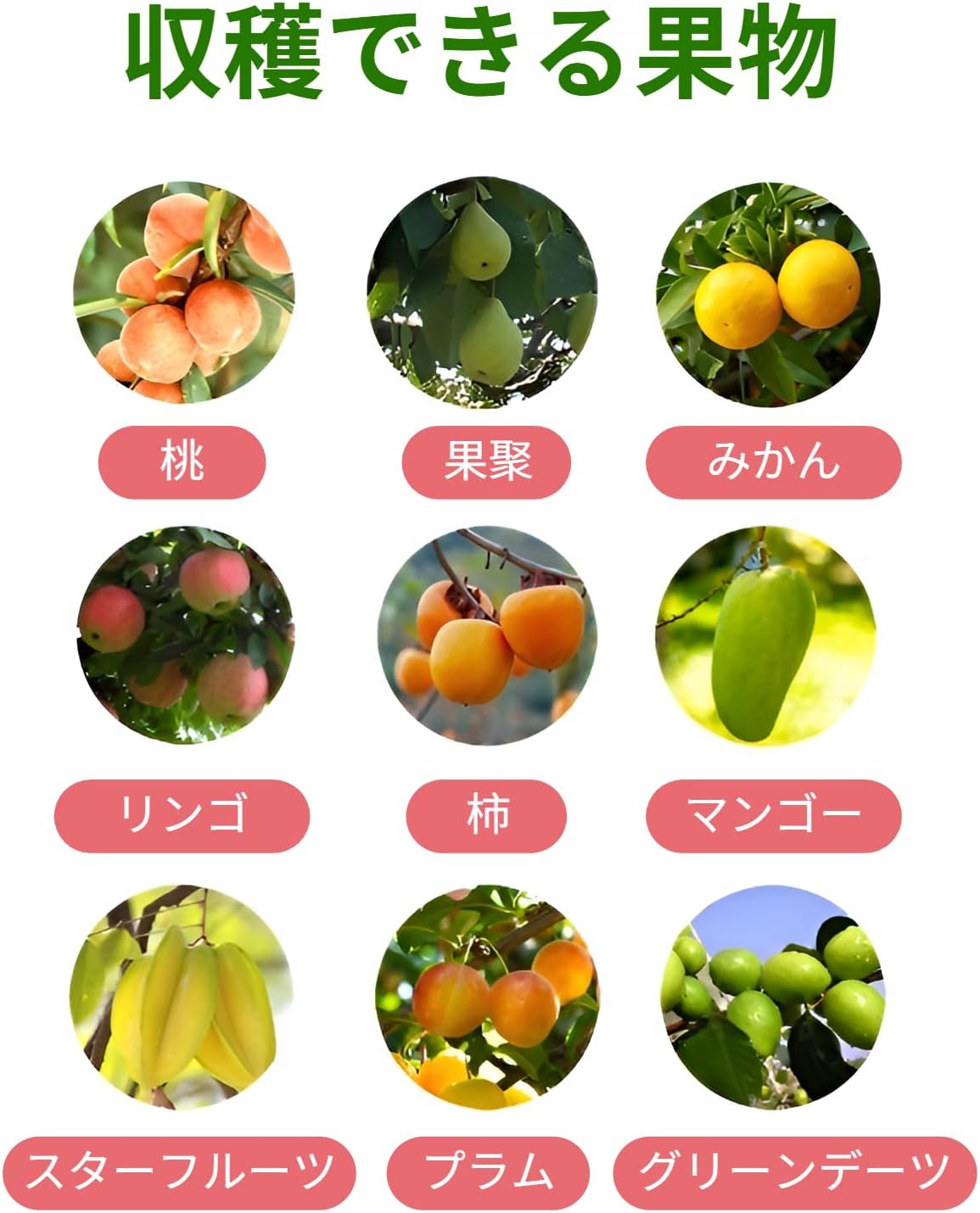 [Vailaipupy]摘果器 ピッカー ステンレス製 防錆 バスケット付き 高所用果物収穫機 二重固定で安心設計 伸縮式 軽量 簡