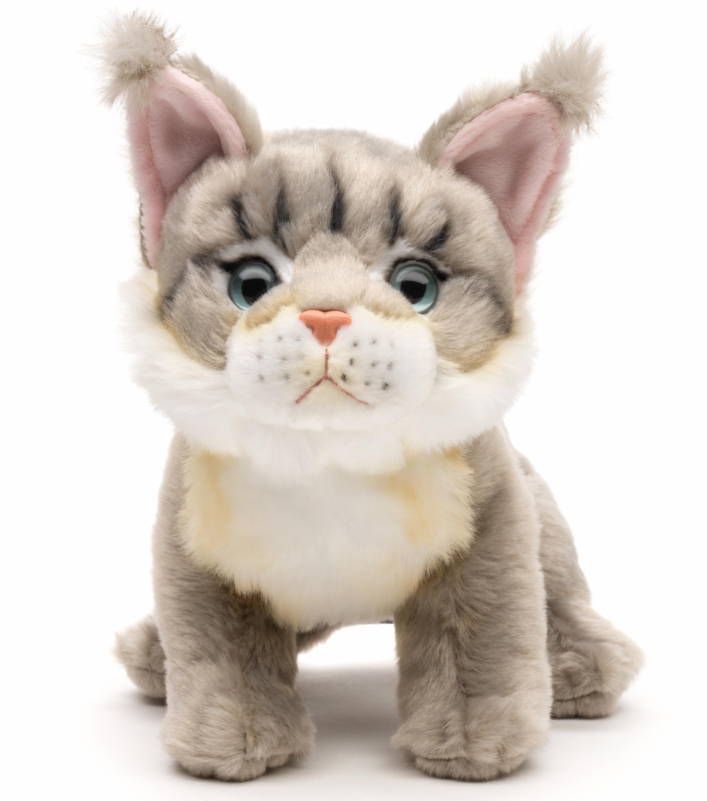 Ou acheter les meilleurs chatons Bengal | Pierredor bengal