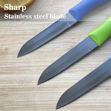 Classic Paring Knives with Straight Edge, Spear Point Color Paring Knife Set of 6, Fruit and Vegetable Knife, Ultra Sharp Kitchen Knives, German Steel, PP Plastic Handle, red/Green/Blue