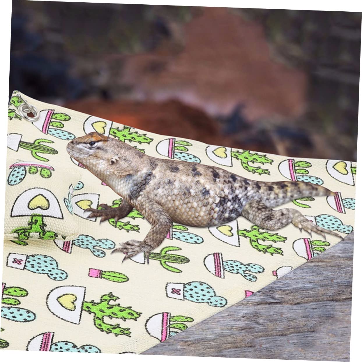 POPETPOP 5juegos Hamaca De para Reptiles Colgante Resistente para y Serpientes Cojín y Ganchos De Limpiar y
