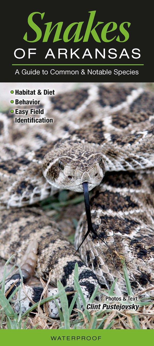 Snakes of Arkansas: A Guide to Common and Notable Species (Guide to Common & Notable Species)