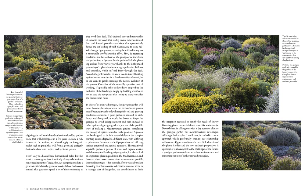 Bringing the Mediterranean into Your Garden: How to capture the natural beauty of the garrigue