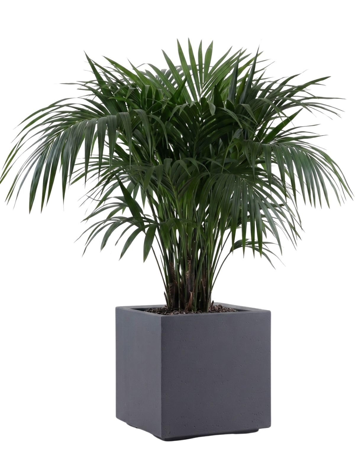 HowHomely Flower Pot Planter on Wheels Grey 40 x 40 x 40 cm Concrete Look Flower Pot