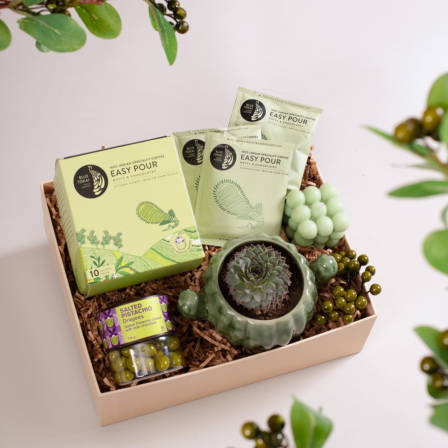 The Knot Company Birthday Gift Hamper | 4 Assorted Gifts: Nutty & Chocolatey Coffee, Salted Pistachio Dragees, Cactus Plant With Pot, and Sage Green Bubble Candle | Birthday, Anniverary, Valentine Gift for Men, Women and Friend