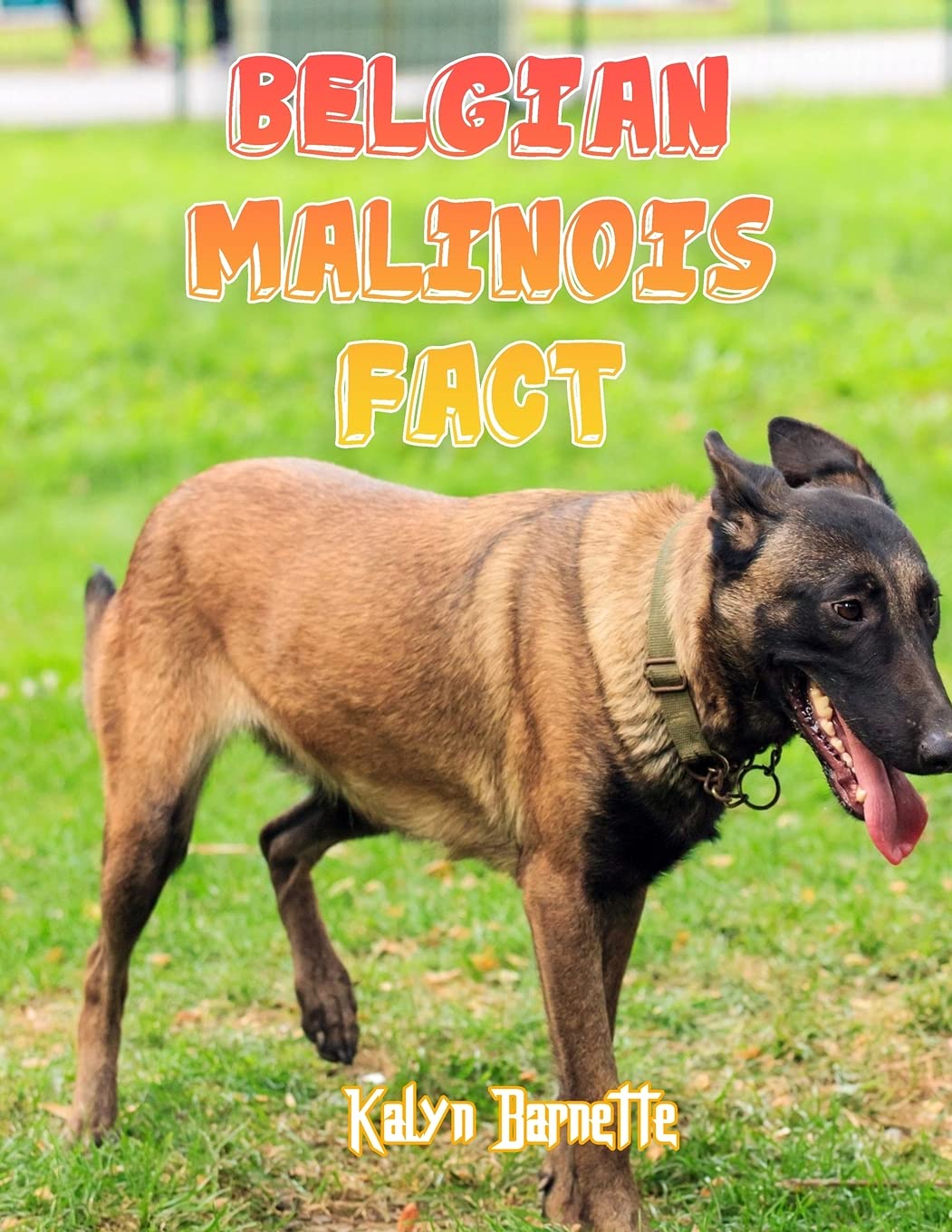 Belgian Malinois Fact: BELGIAN MALINOIS fact for girl age 1-10 BELGIAN MALINOIS fact for boy age 1-10 facts about all about BELGIAN MALINOIS