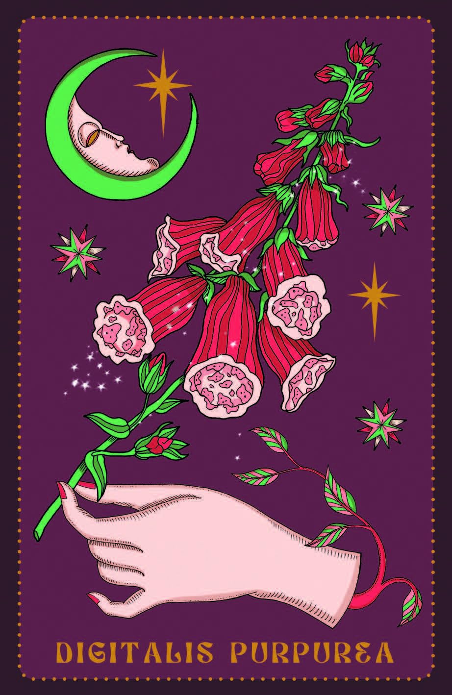 Herbarium Oracle