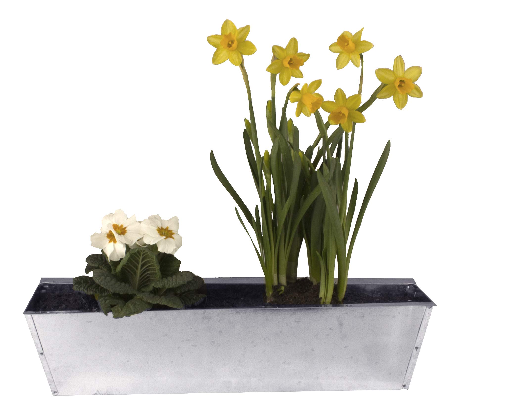 Set 6 Vasi Da Fiori Da Parete Stile Veneziano In Plastica Taupe - WHITEFURZE