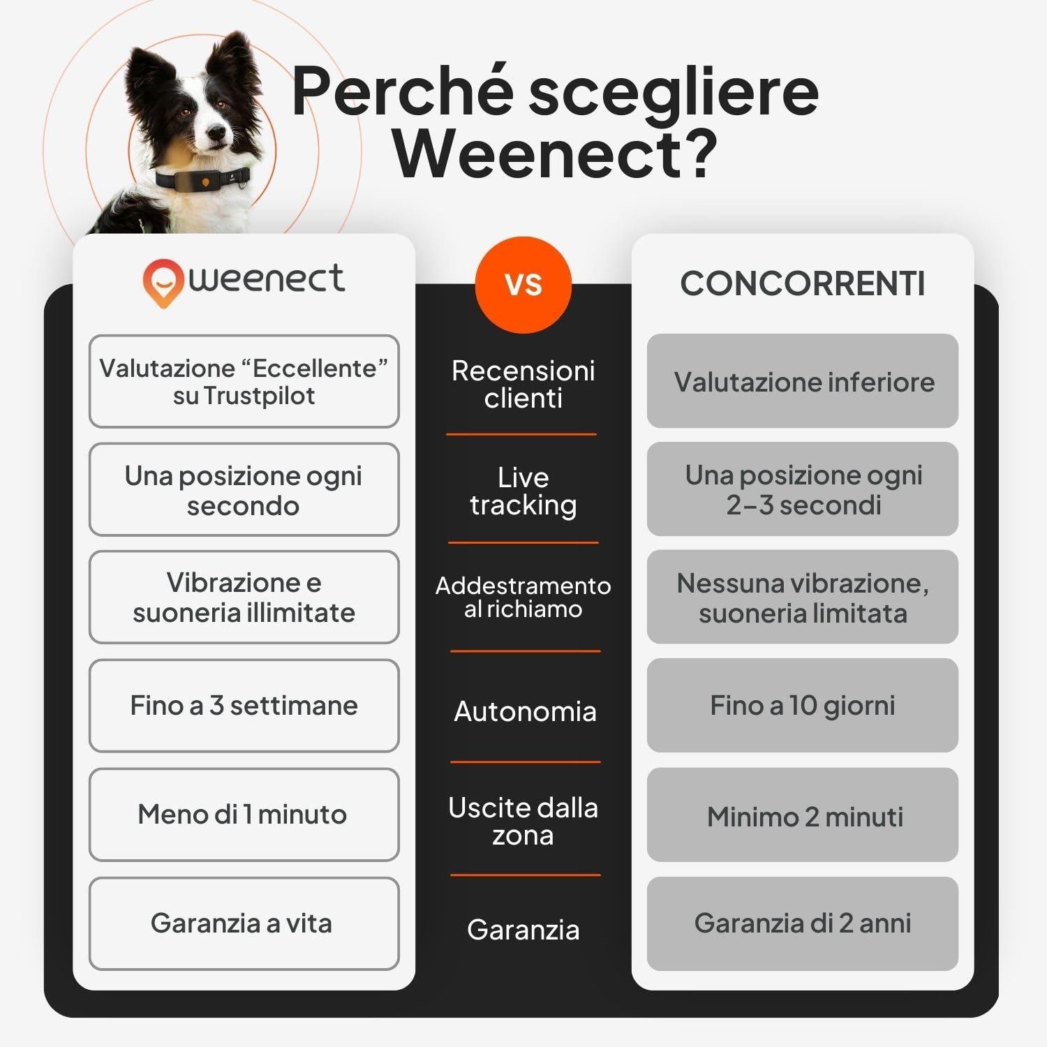 Weenect Dog XT - NUOVO Collare GPS per Cani | Antenna XL | Impermeabile | Collare ultra-resistente integrato Julius-K9 | Garanzia a vita | Abbonamento richiesto (Giallo)