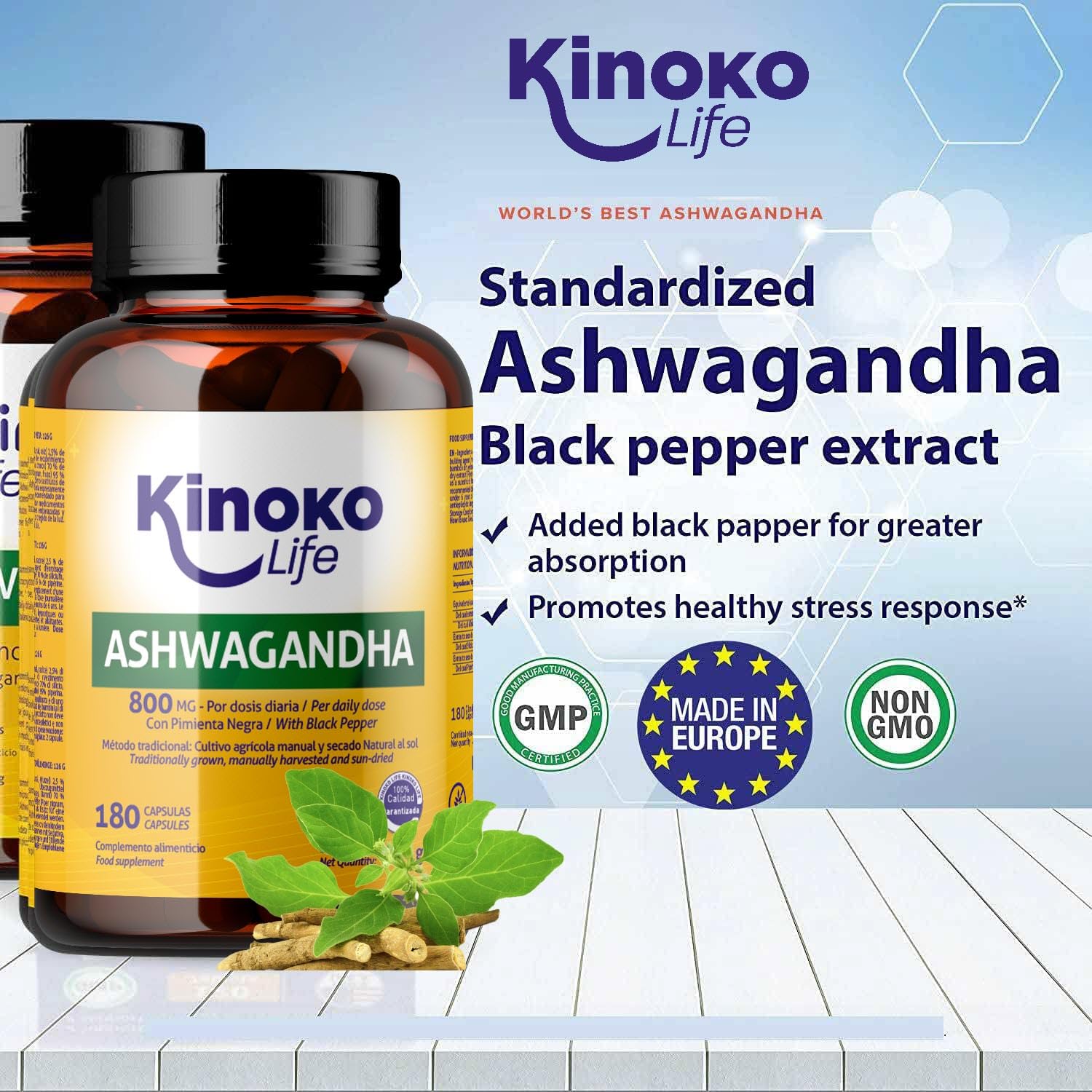 ASHWAGANDHA 800 mg – 180 Cápsulas | Extracto 10:1 con Pimienta Negra (Piperina) | Adaptógeno y Nootrópico Natural para el Estrés, Cortisol y Energía Mental – Kinoko Life