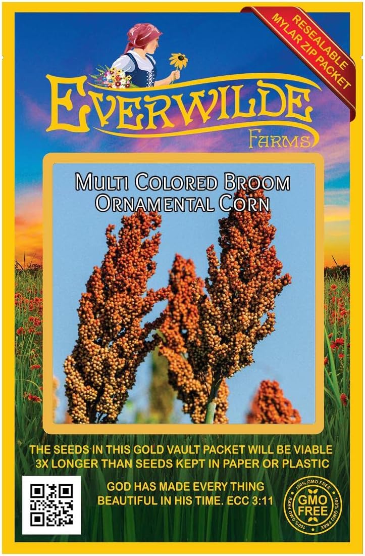 Everwilde Farms - 1 Lb Broom Corn Ornamental Corn Seeds - Gold Vault