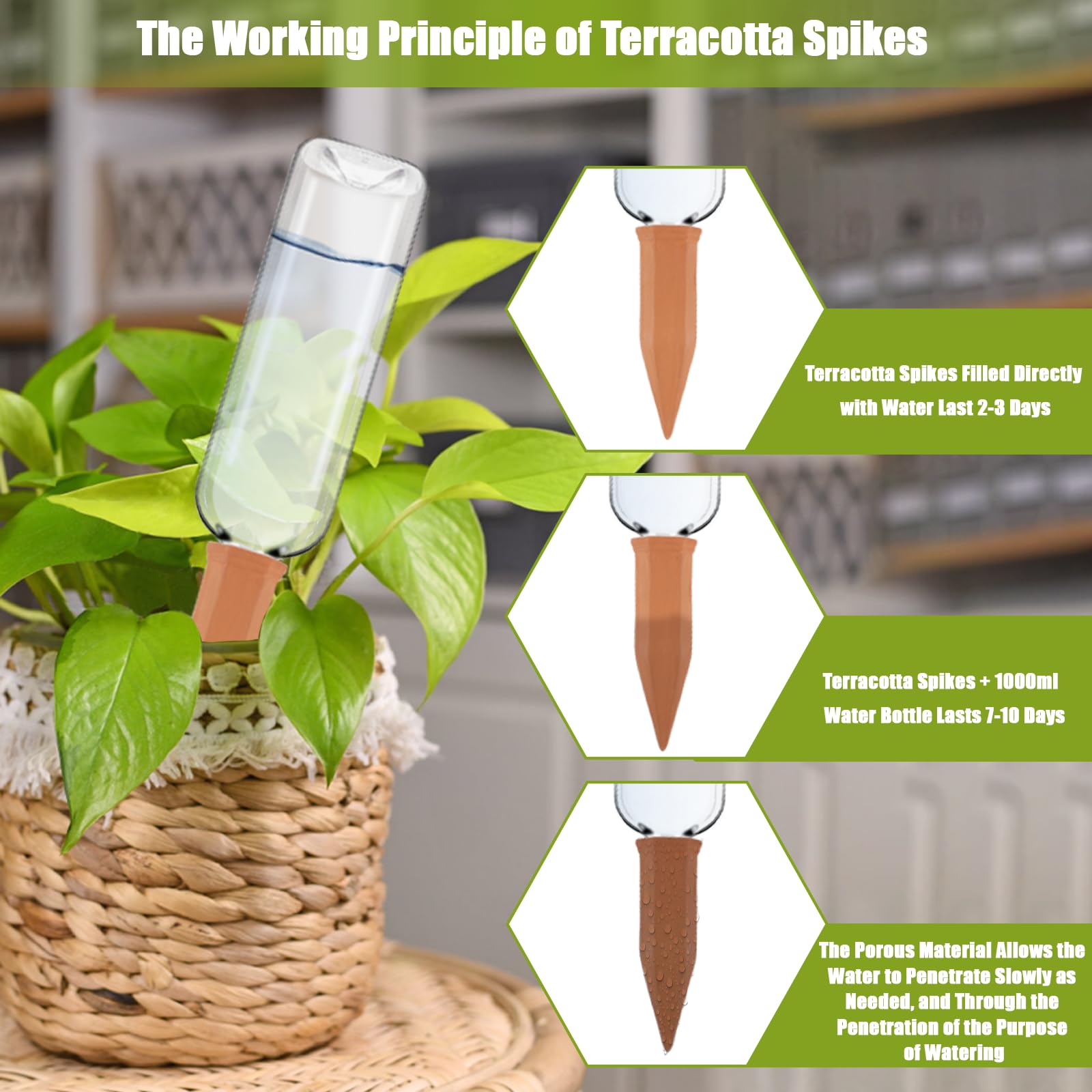 Lot de 8 dispositifs d'arrosage automatique en terre cuite pour plantes avec bouteilles en plastique, à libération lente pour intérieur ou extérieur