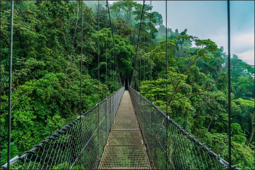 MuraloMuralo Photo Wallpaper Nature 180 x 270 cm Non-Woven Wallpaper Costa Rica Bridge Jungle Living Room Bedroom Modern Wall Pictures XXL Landscape Panorama Wall Decoration